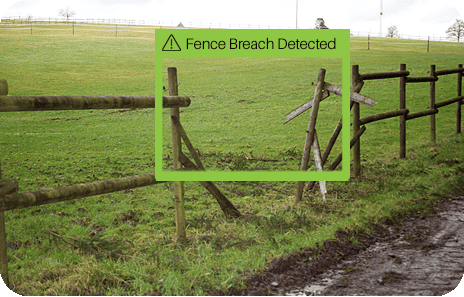 Fence breach - Agriculture & Farm Video Surveillance