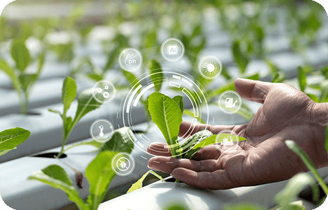 Temperature change - Agriculture & Farm Video Surveillance